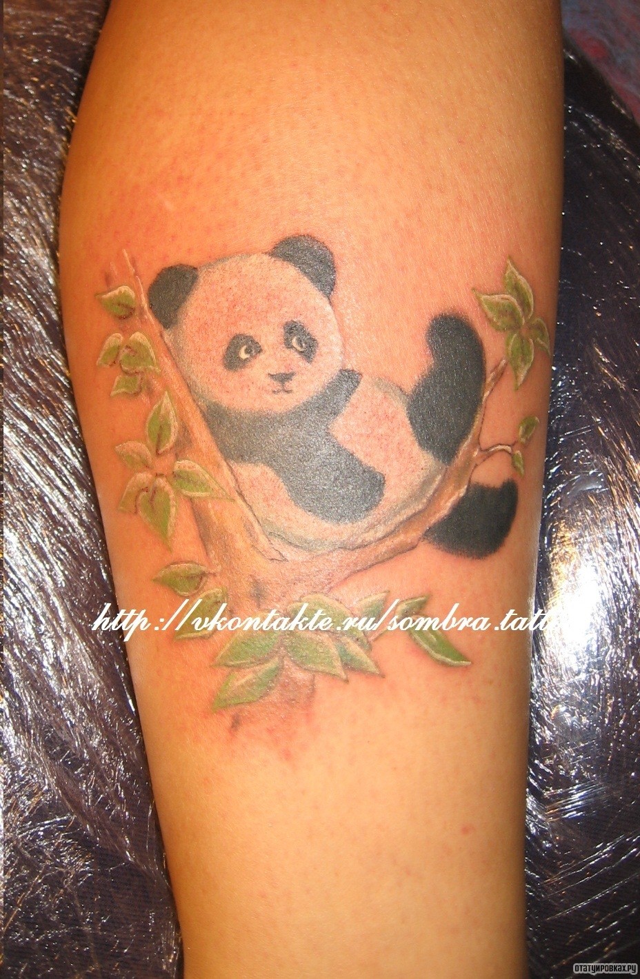 Фотография татуировки под названием «Панда на ветке»