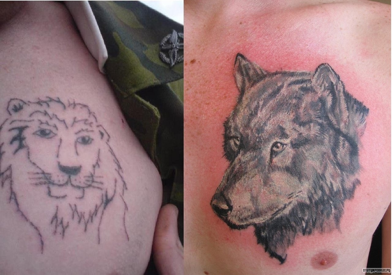 Татуировка волк на груди слева