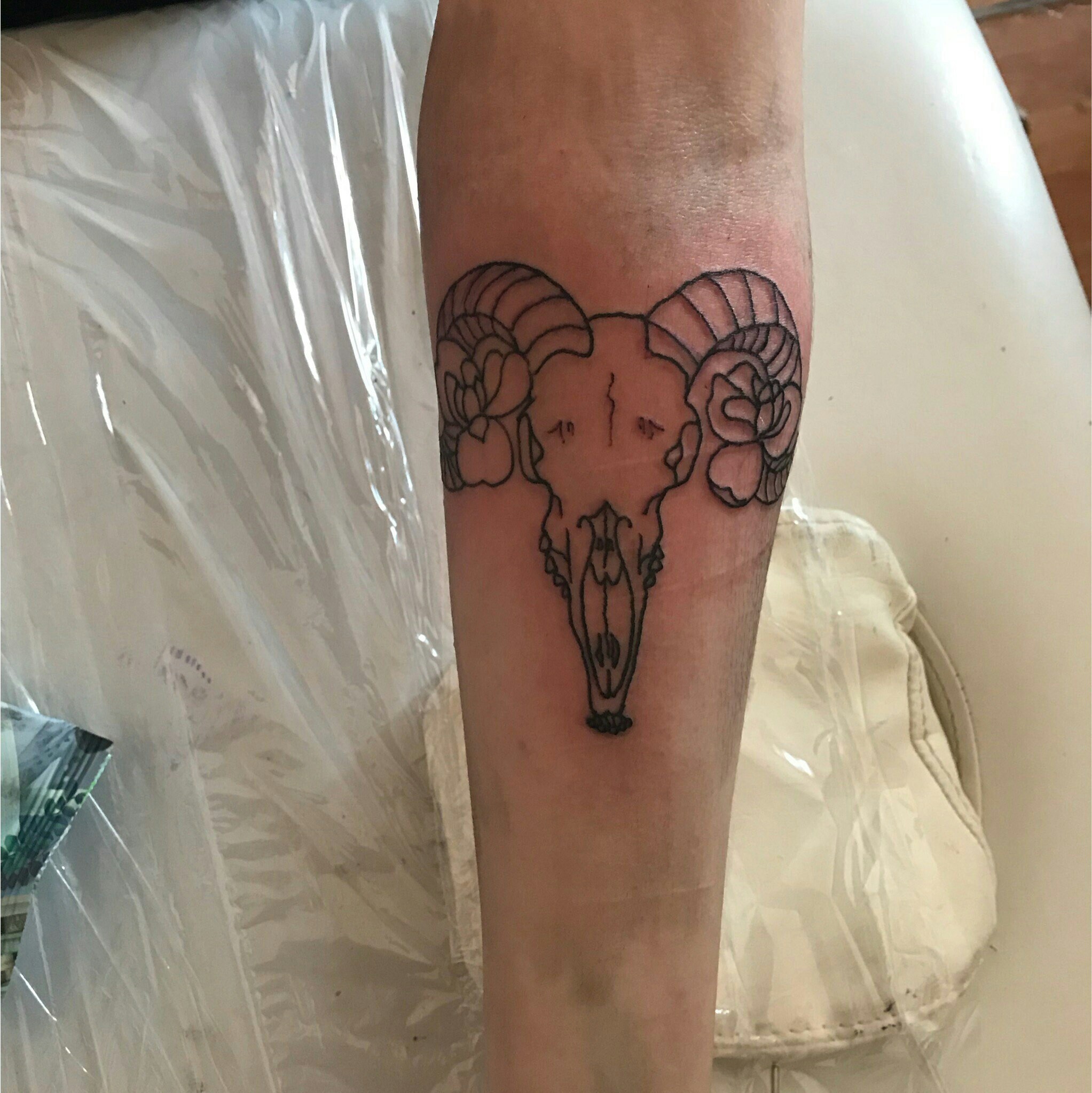 Фотография татуировки под названием «Череп животного - козел»