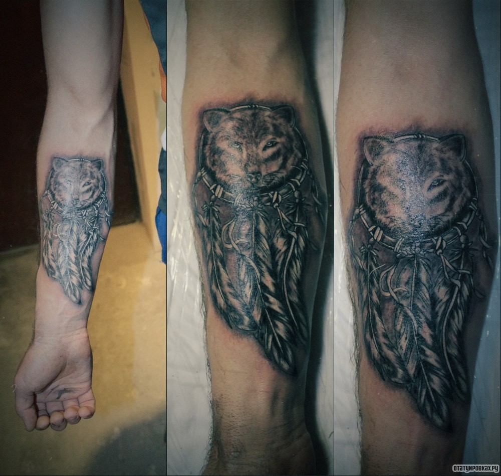 Фотография татуировки под названием «Волк в ловце снов»
