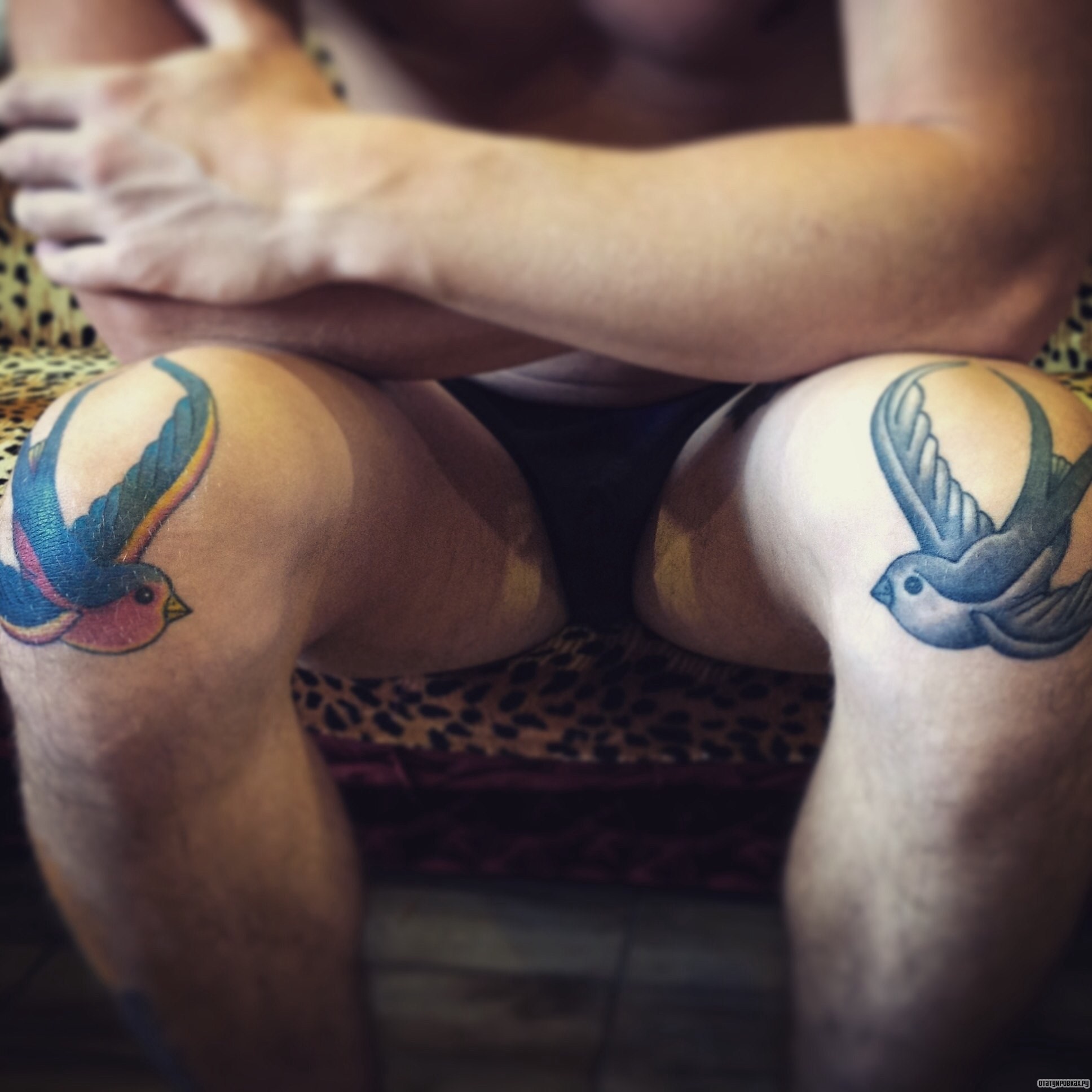 Фотография татуировки под названием «Ласточки»