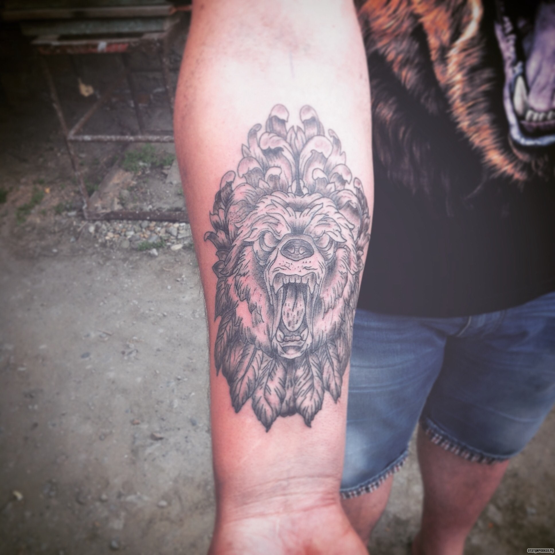 Фотография татуировки под названием «Медведь оскал»