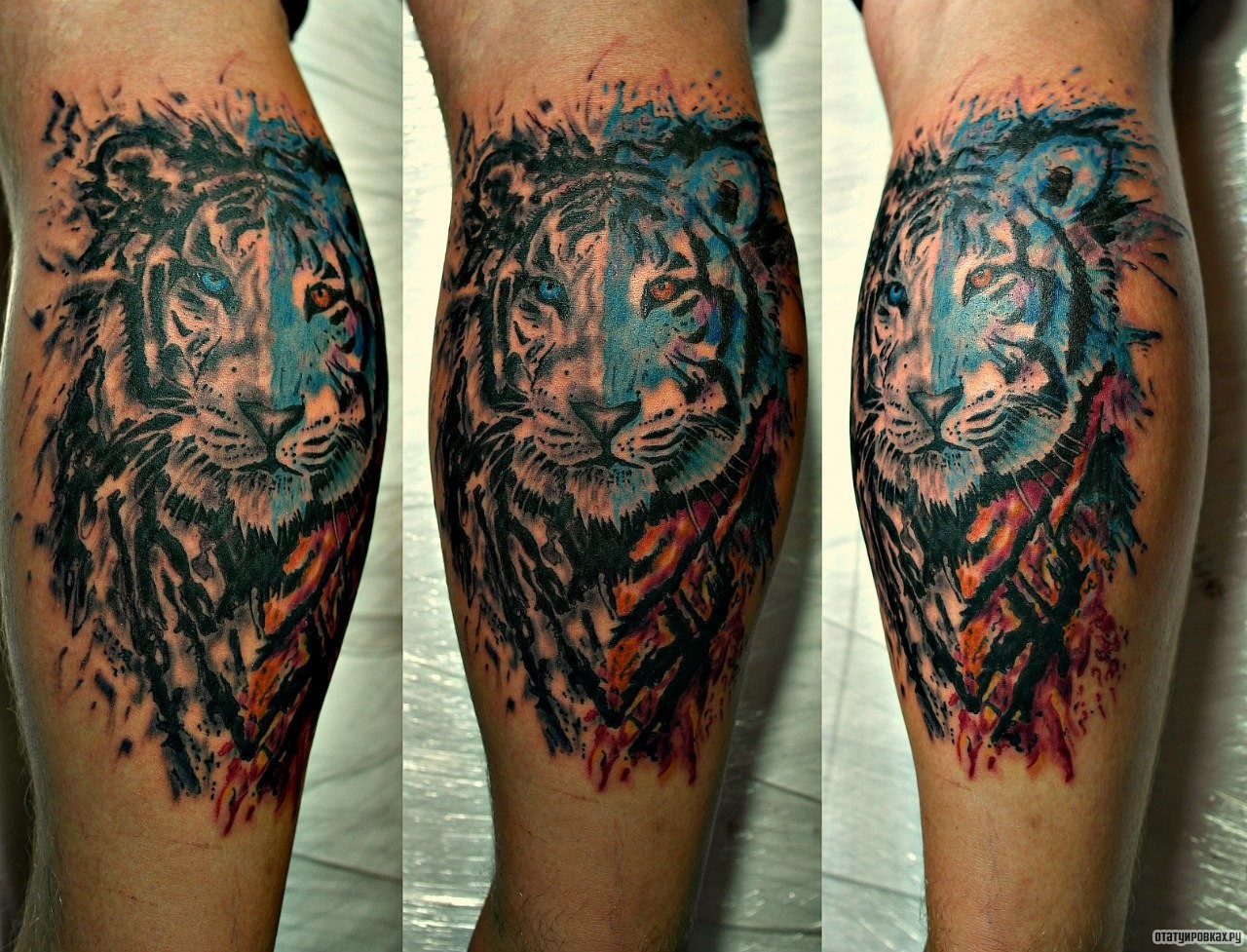 Фотография татуировки под названием «Лев царь зверей»