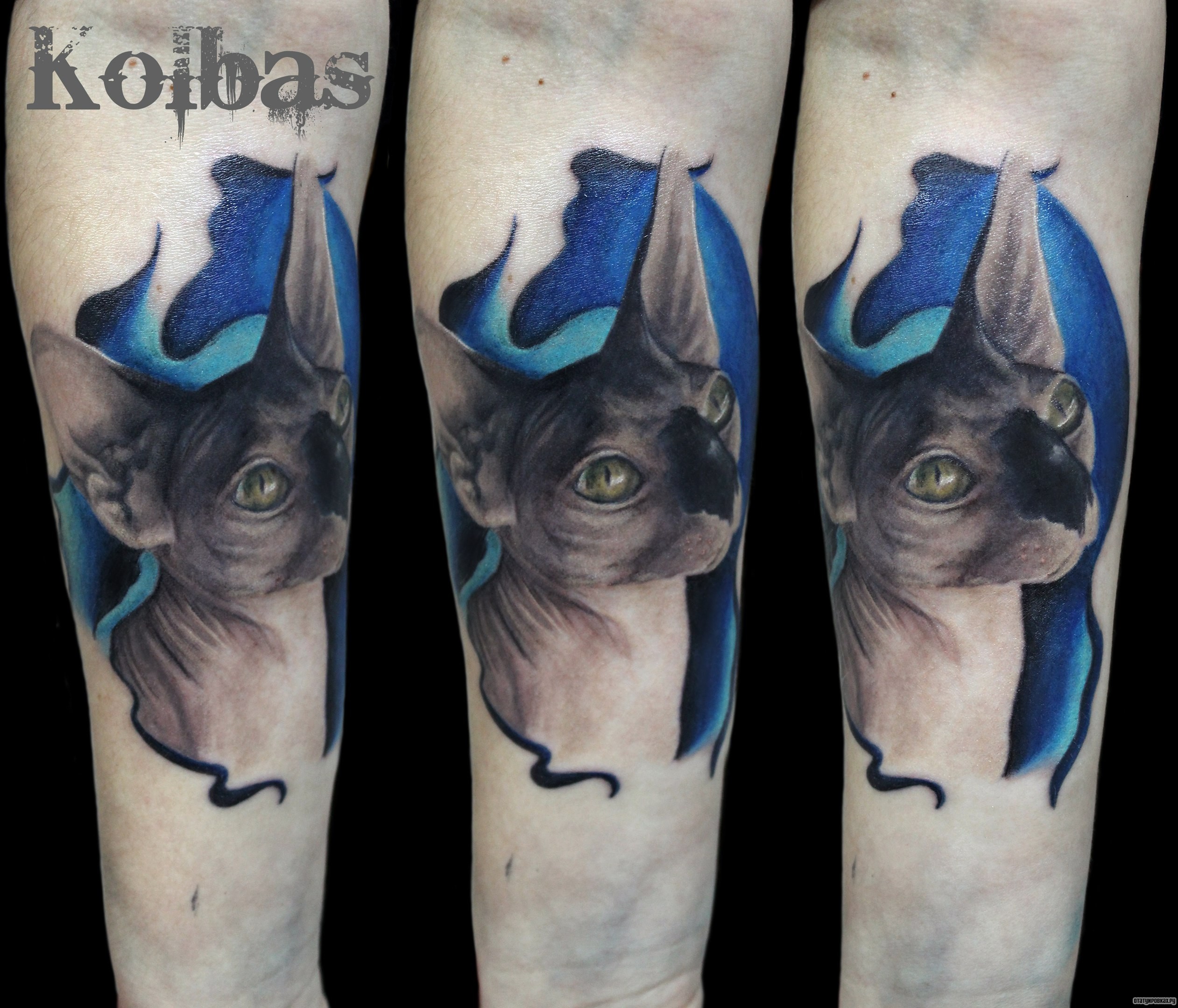 Фотография татуировки под названием «Сфинкс кот»