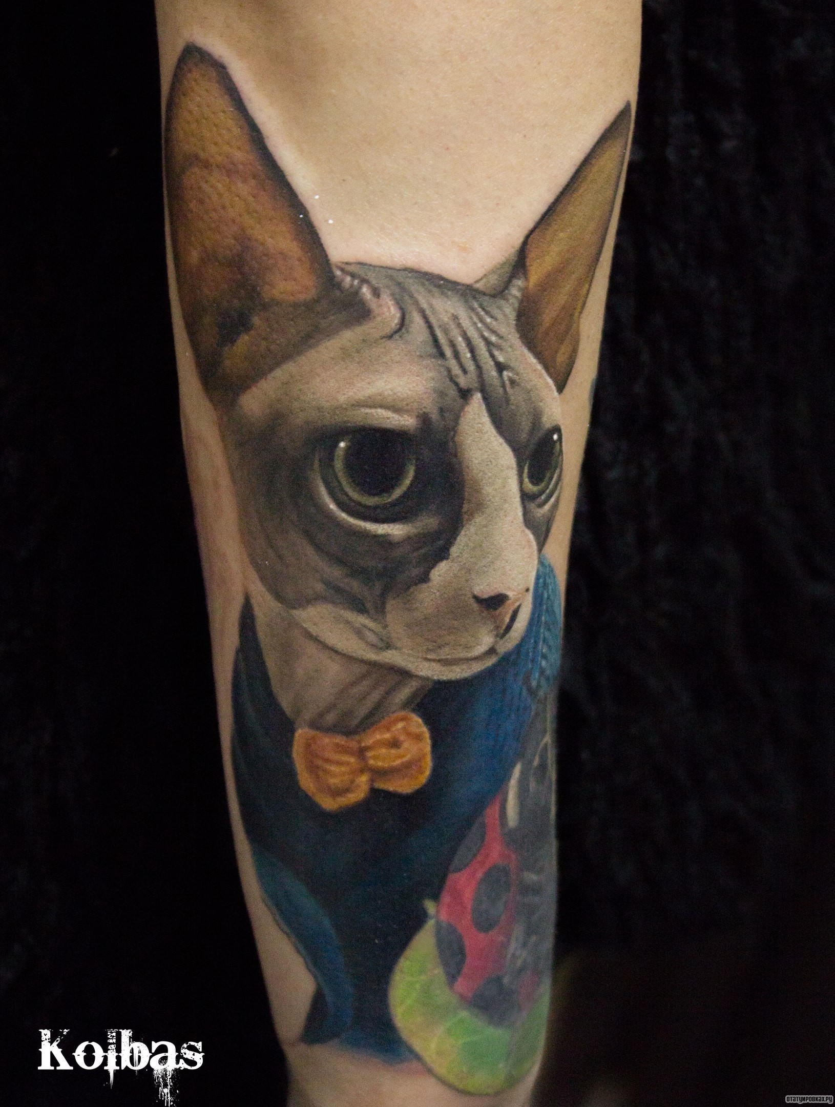 Фотография татуировки под названием «Кот сфинкс с бантиком»