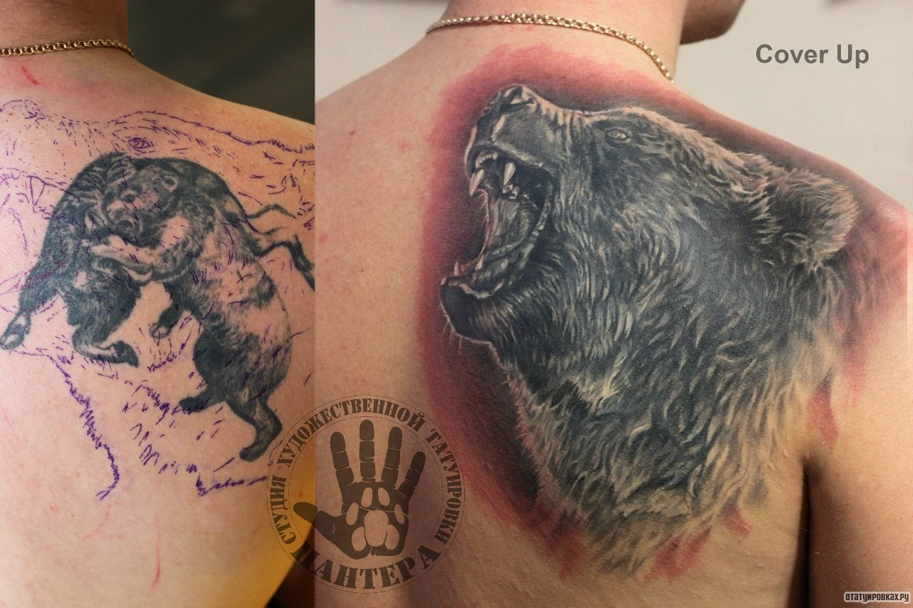 Фотография татуировки под названием «Оскал медведя»
