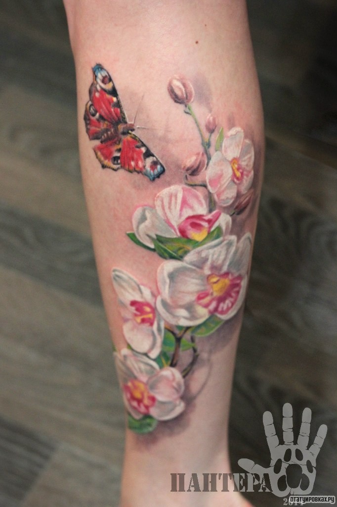 Фотография татуировки под названием «Белая сакура с бабочкой»