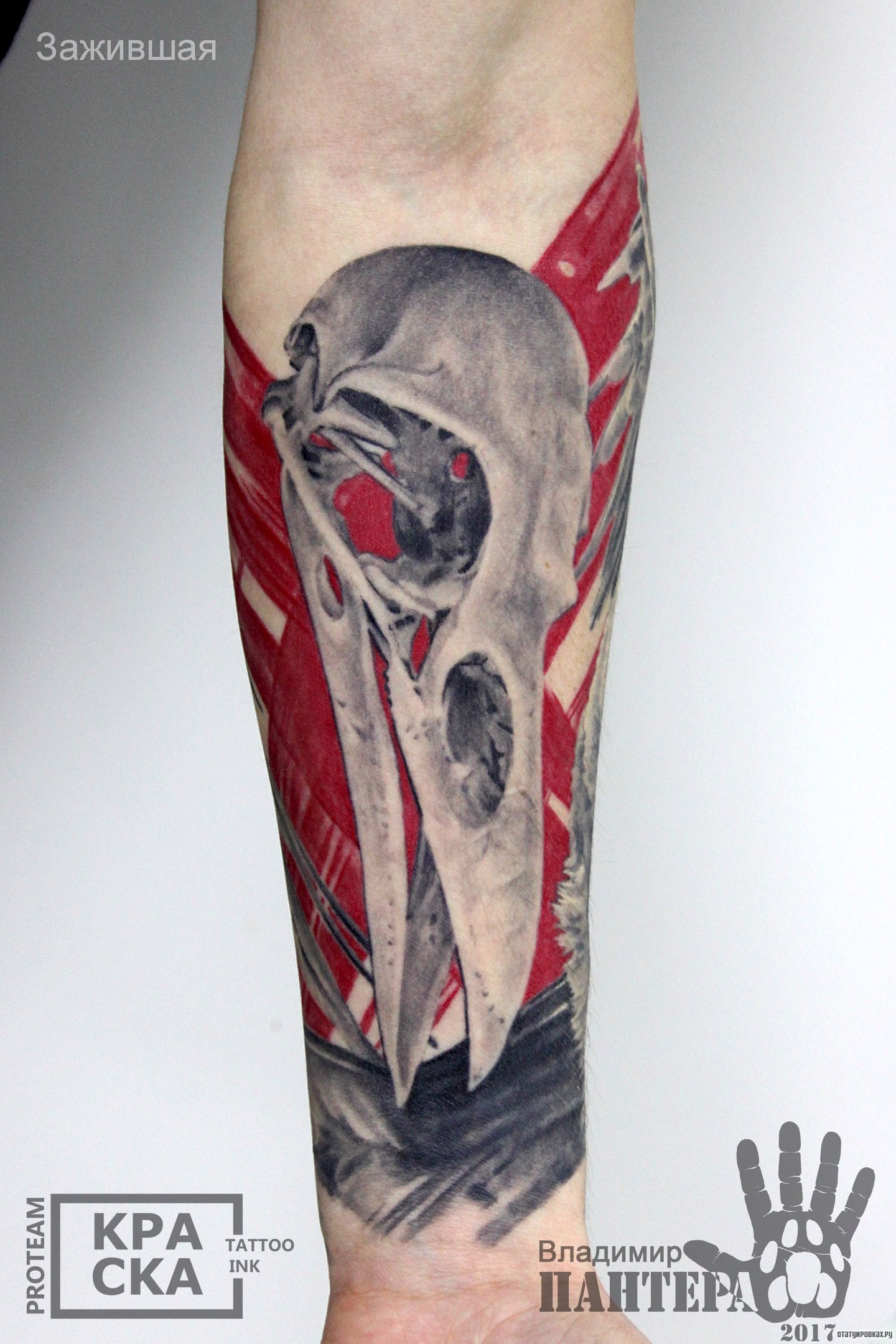 Фотография татуировки под названием «Череп вороны»
