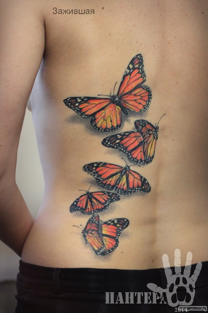 Фотография татуировки под названием «Бабочки оранжевые»