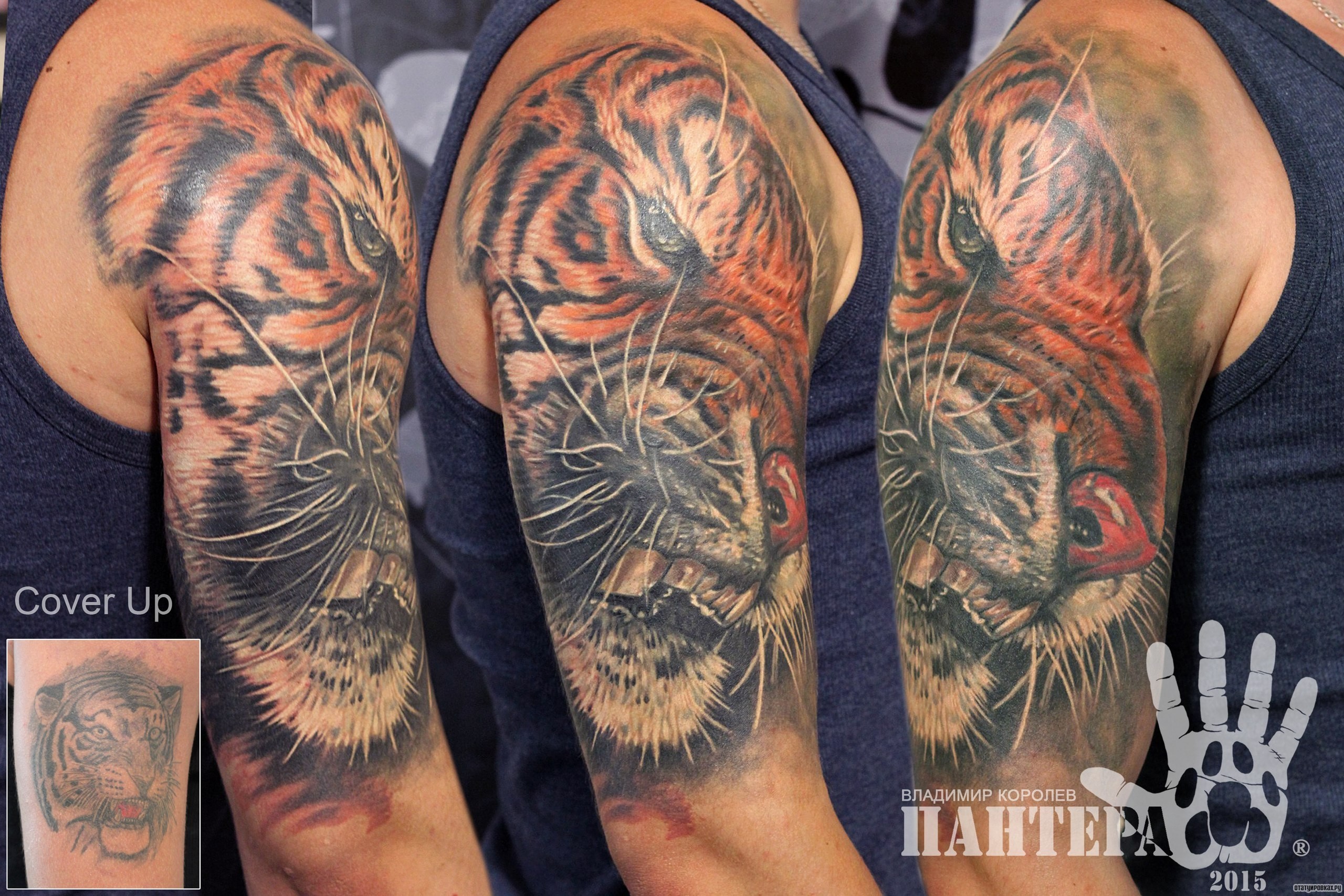 Фотография татуировки под названием «Зубы тигра»