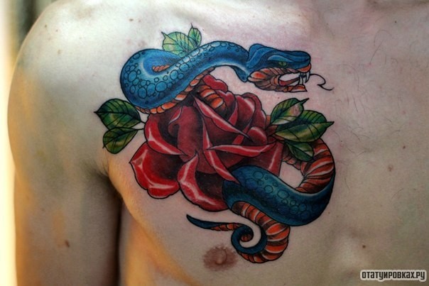 Фотография татуировки под названием «Змея на розе»