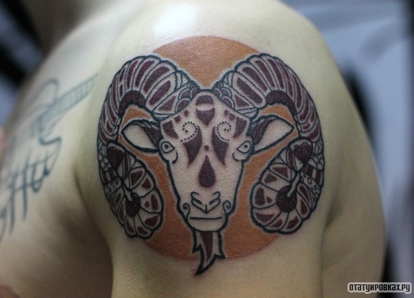 Фотография татуировки под названием «Баран узор»