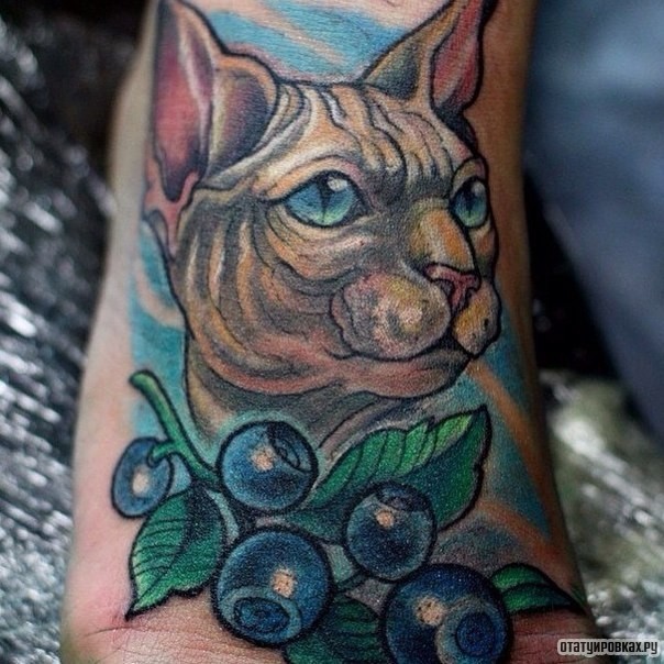 Фотография татуировки под названием «Кот и черника»