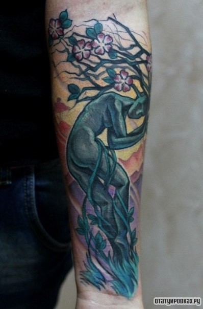 Фотография татуировки под названием «Человек дерево сакура»