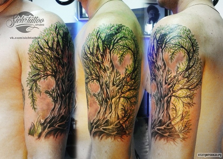 Фотография татуировки под названием «Дерево с листьями»