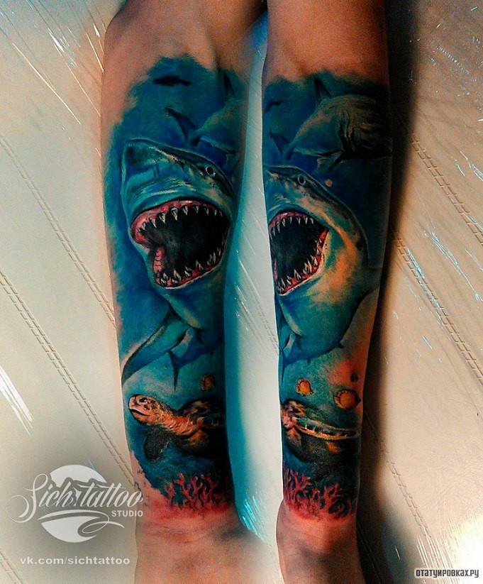 Фотография татуировки под названием «Акула с черепахой»