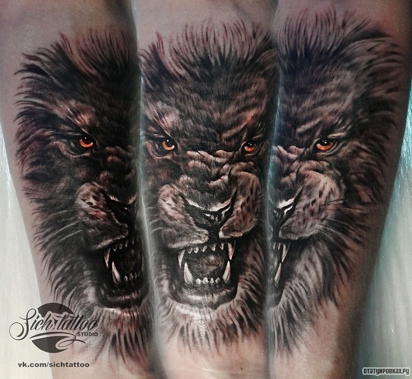 Фотография татуировки под названием «Оскал льва»