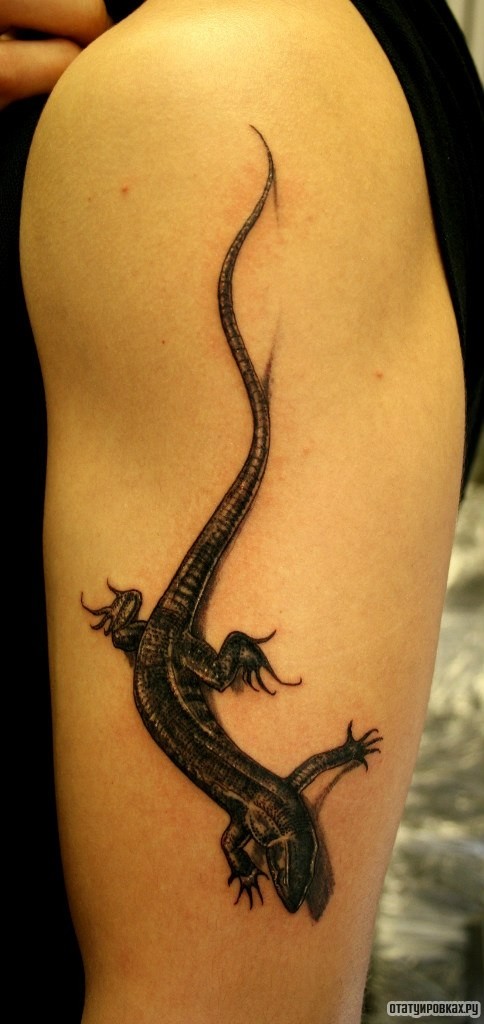 Фотография татуировки под названием «Ящерица 3д»