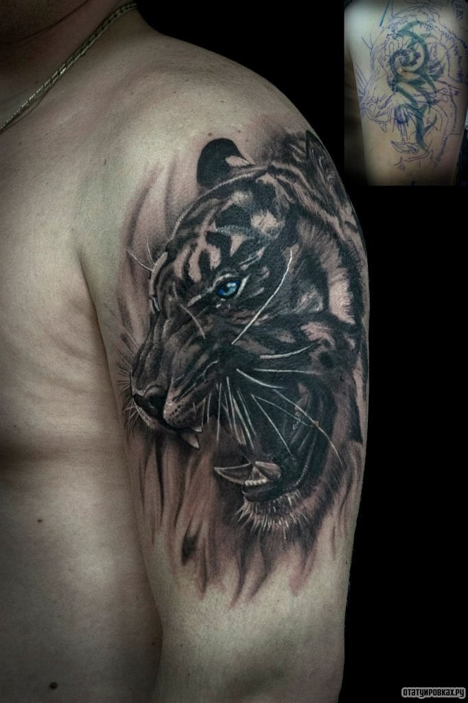 Фотография татуировки под названием «Тигр оскал»