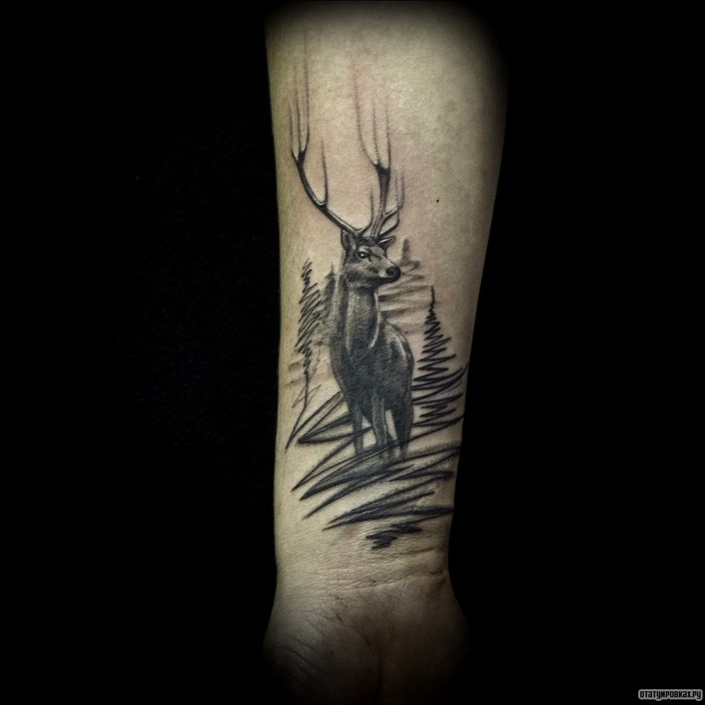 Фотография татуировки под названием «Олень и елки»