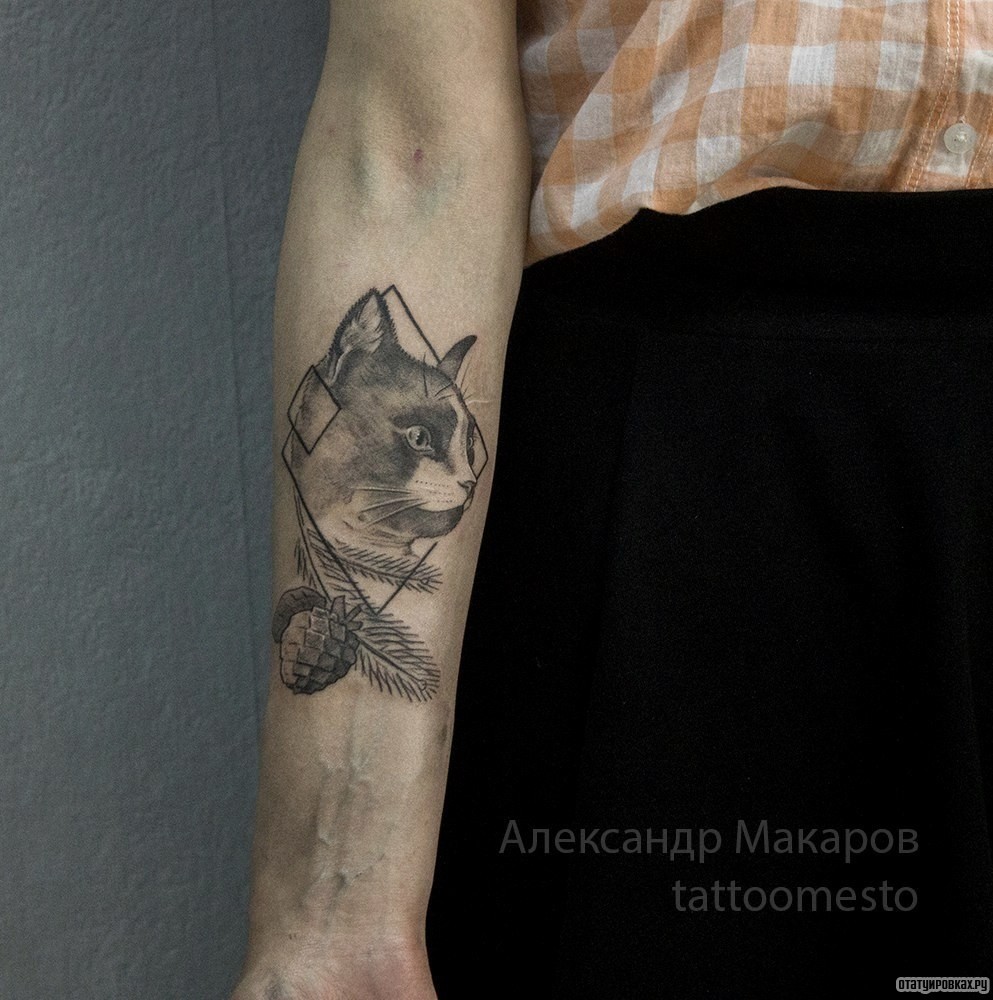 Фотография татуировки под названием «Кошка и еловые шишки»