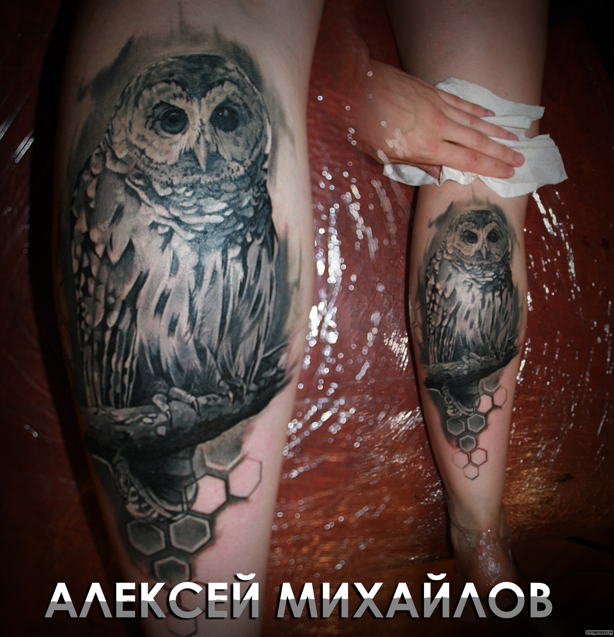 Фотография татуировки под названием «Сова на ветке»