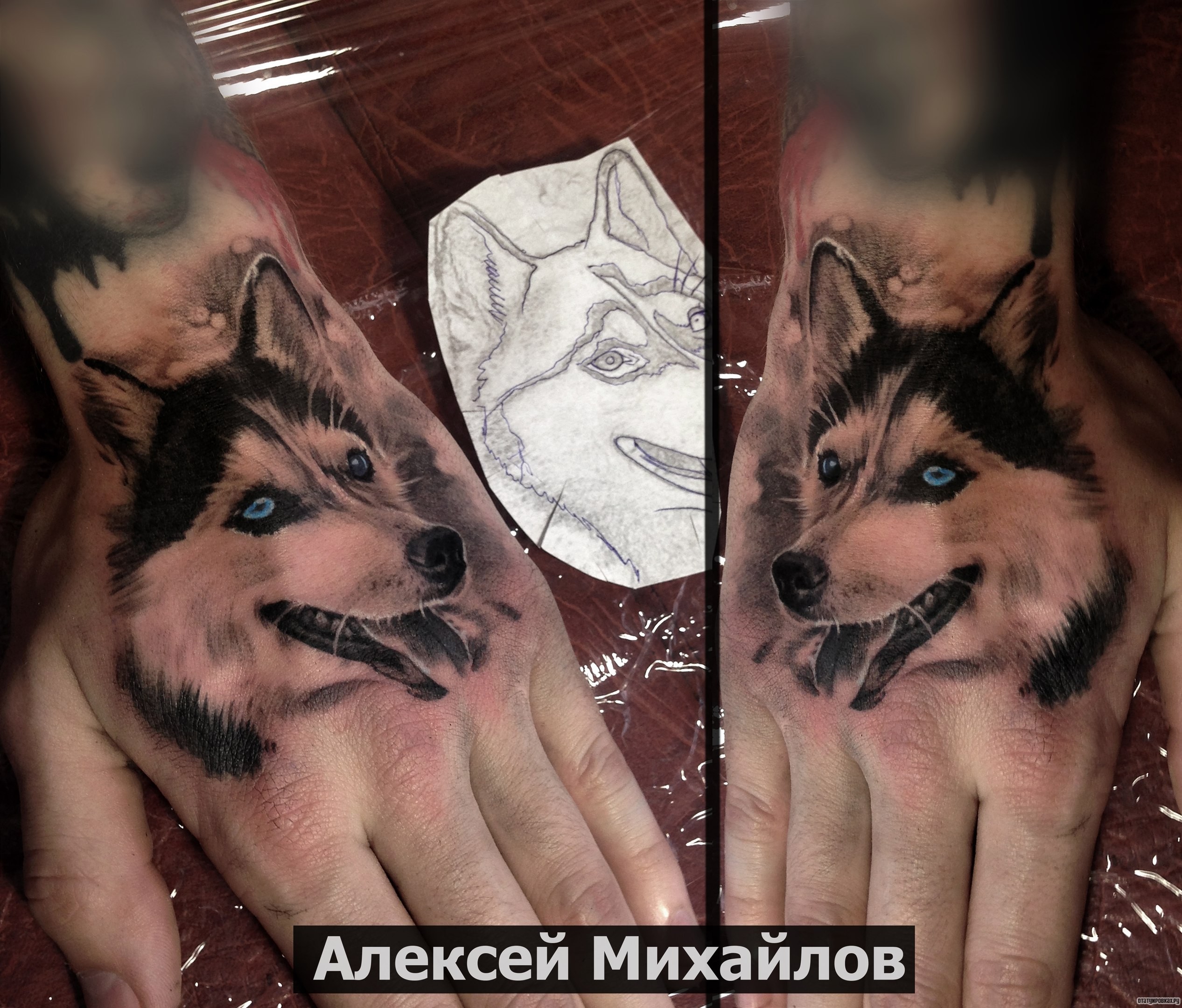 Фотография татуировки под названием «Голубоглазая хаски собака»