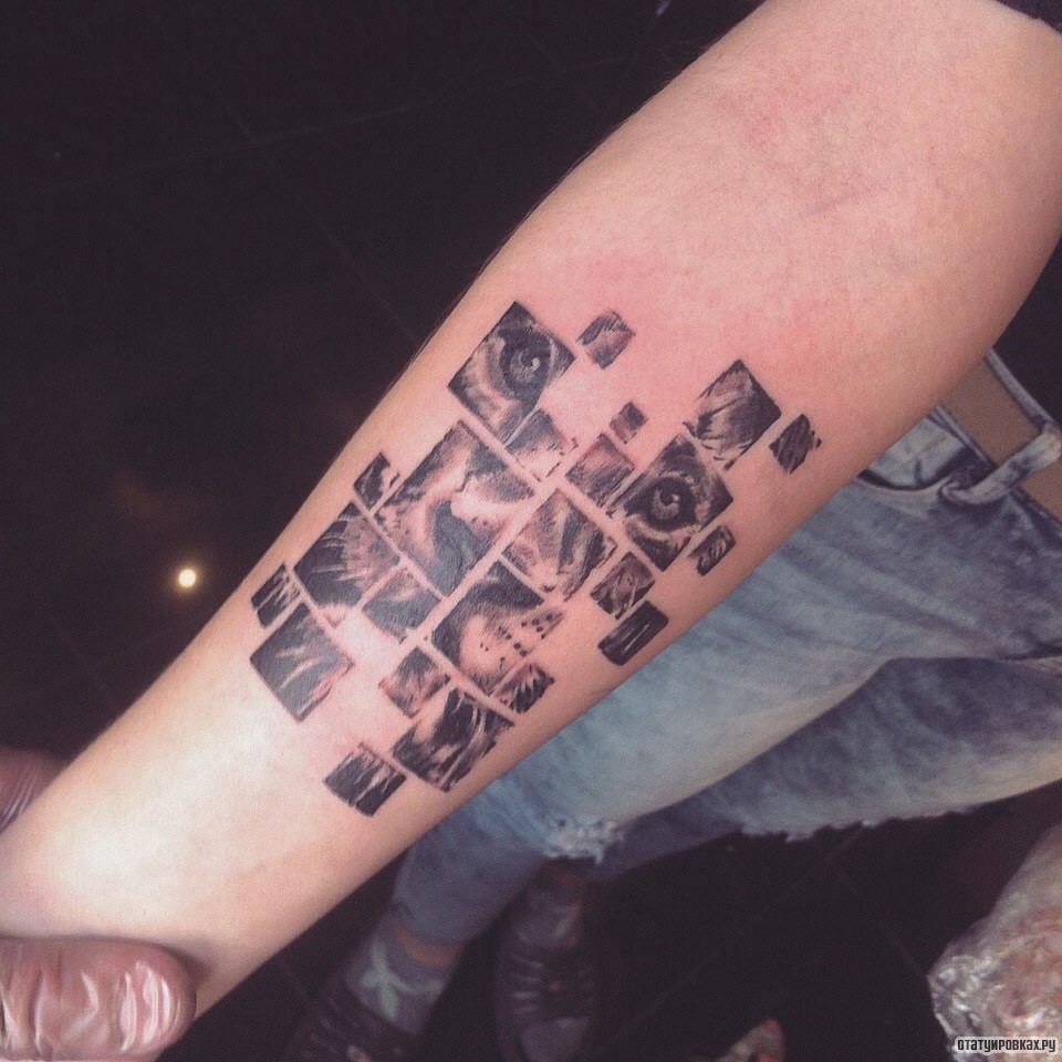 Фотография татуировки под названием «Морда льва в квадратах»