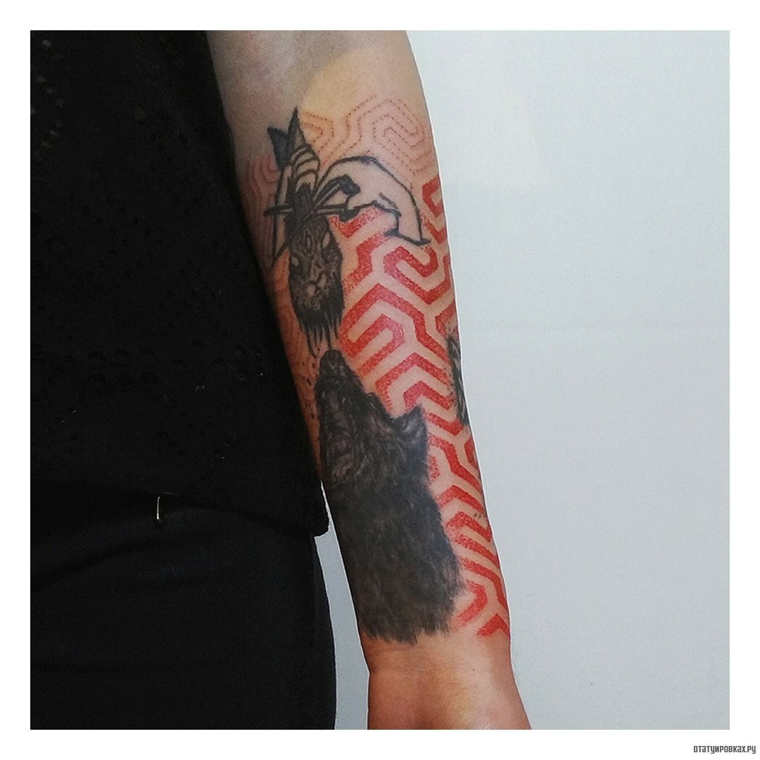 Фотография татуировки под названием «Волк и череп животного»