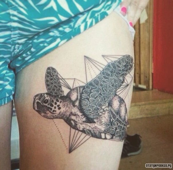 Фотография татуировки под названием «Черепаха узор лайнворк»