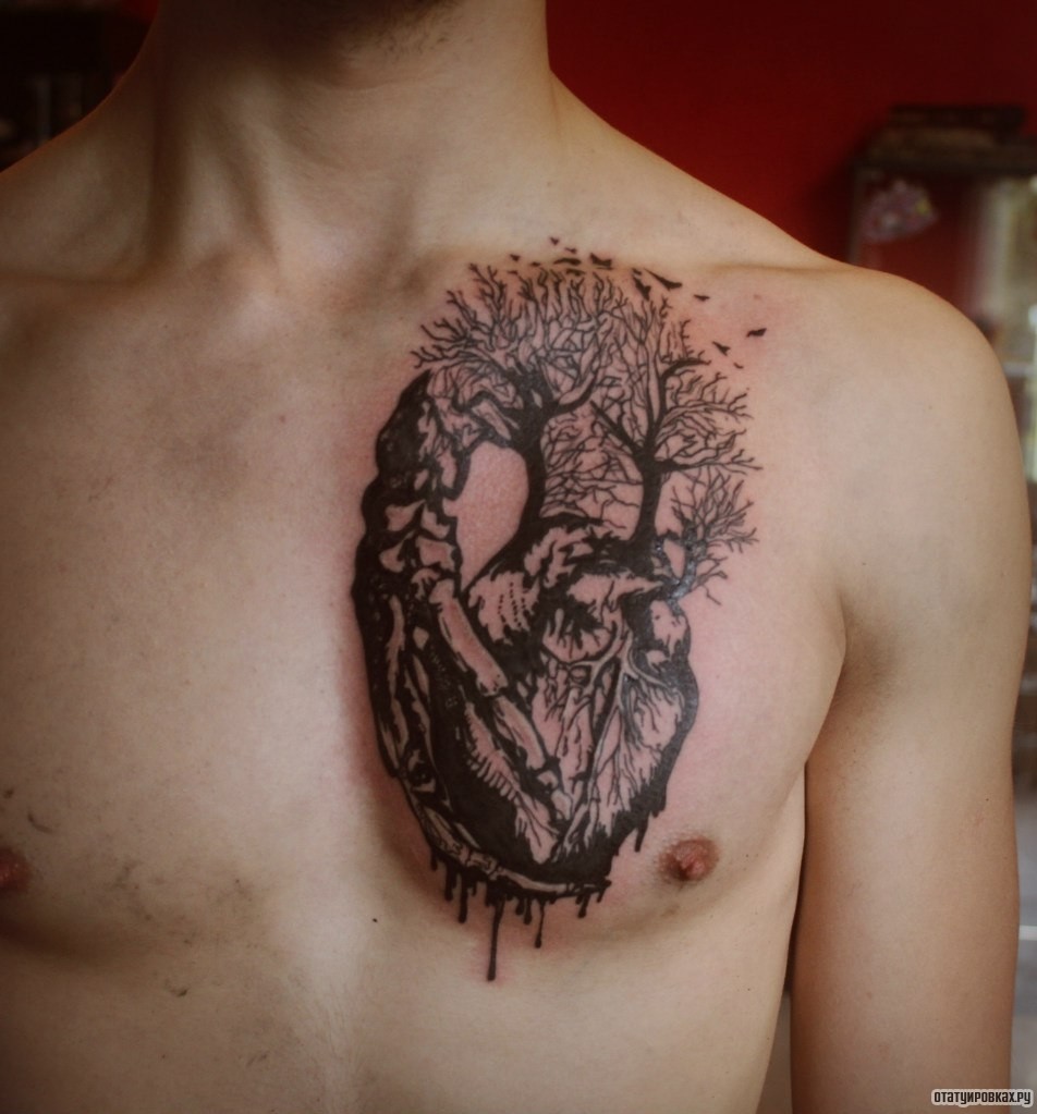 Фотография татуировки под названием «Сердце дерево»