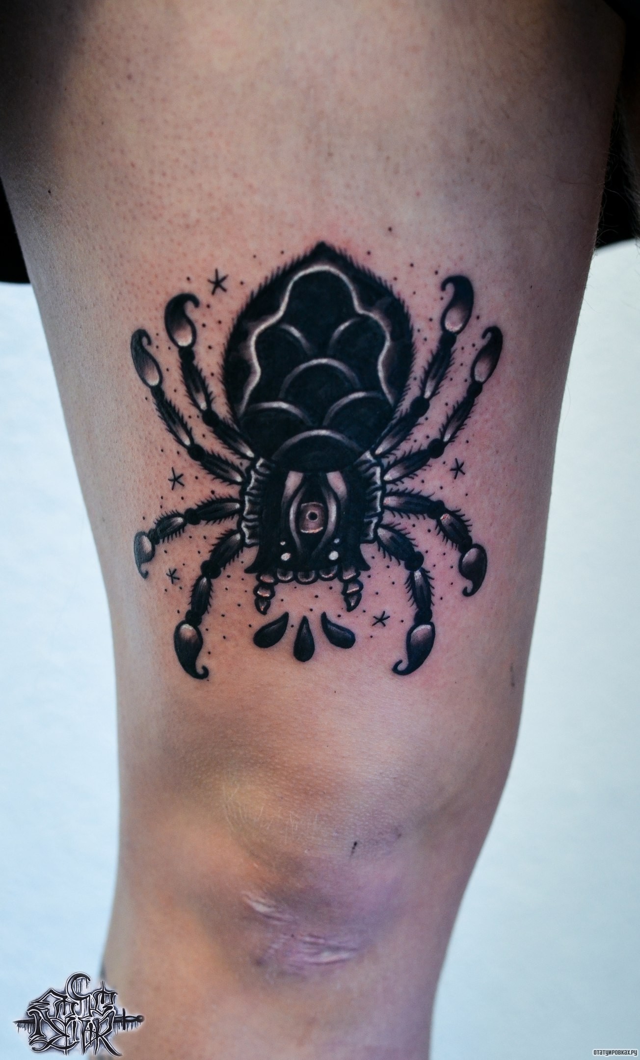 Фотография татуировки под названием «Черный паук»