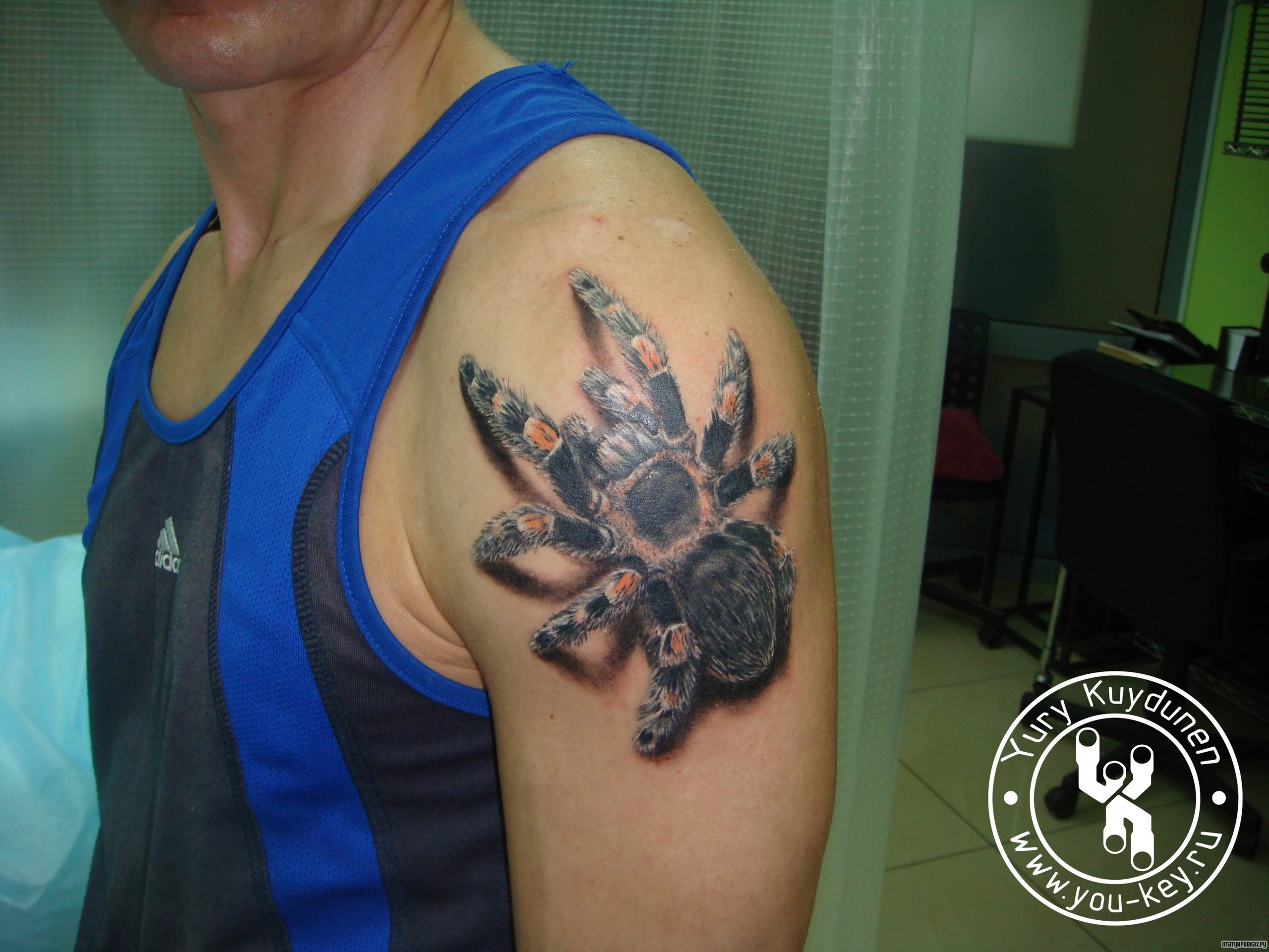 Фотография татуировки под названием «Тарантул паук 3д»