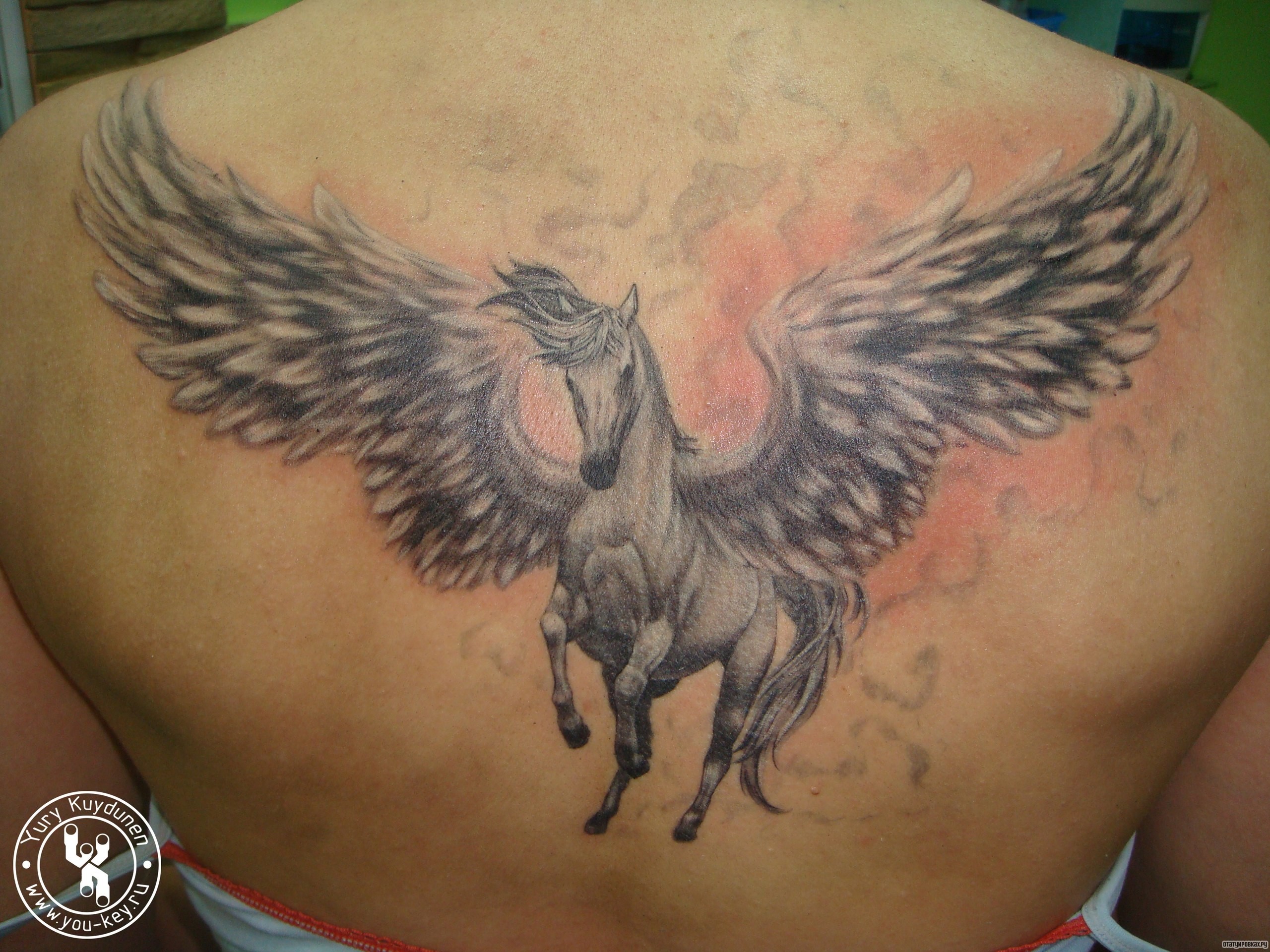 Фотография татуировки под названием «Конь с крыльями»