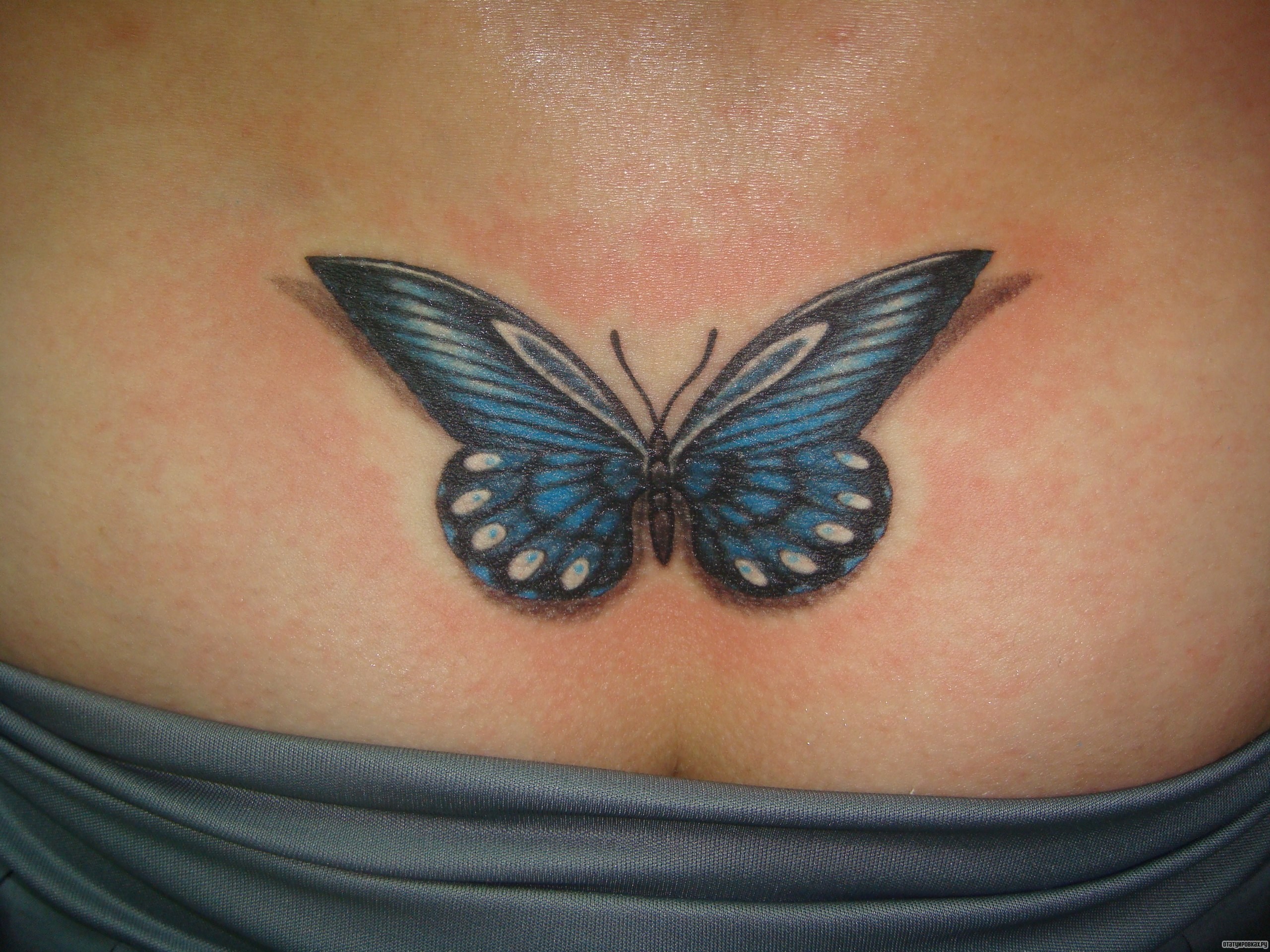 Фотография татуировки под названием «Бабочка синяя»