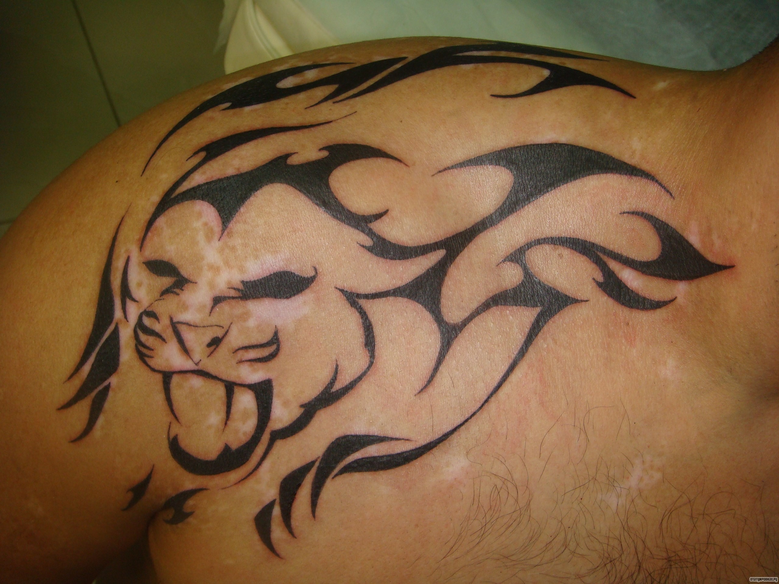 Фотография татуировки под названием «Узор львица трайбл»