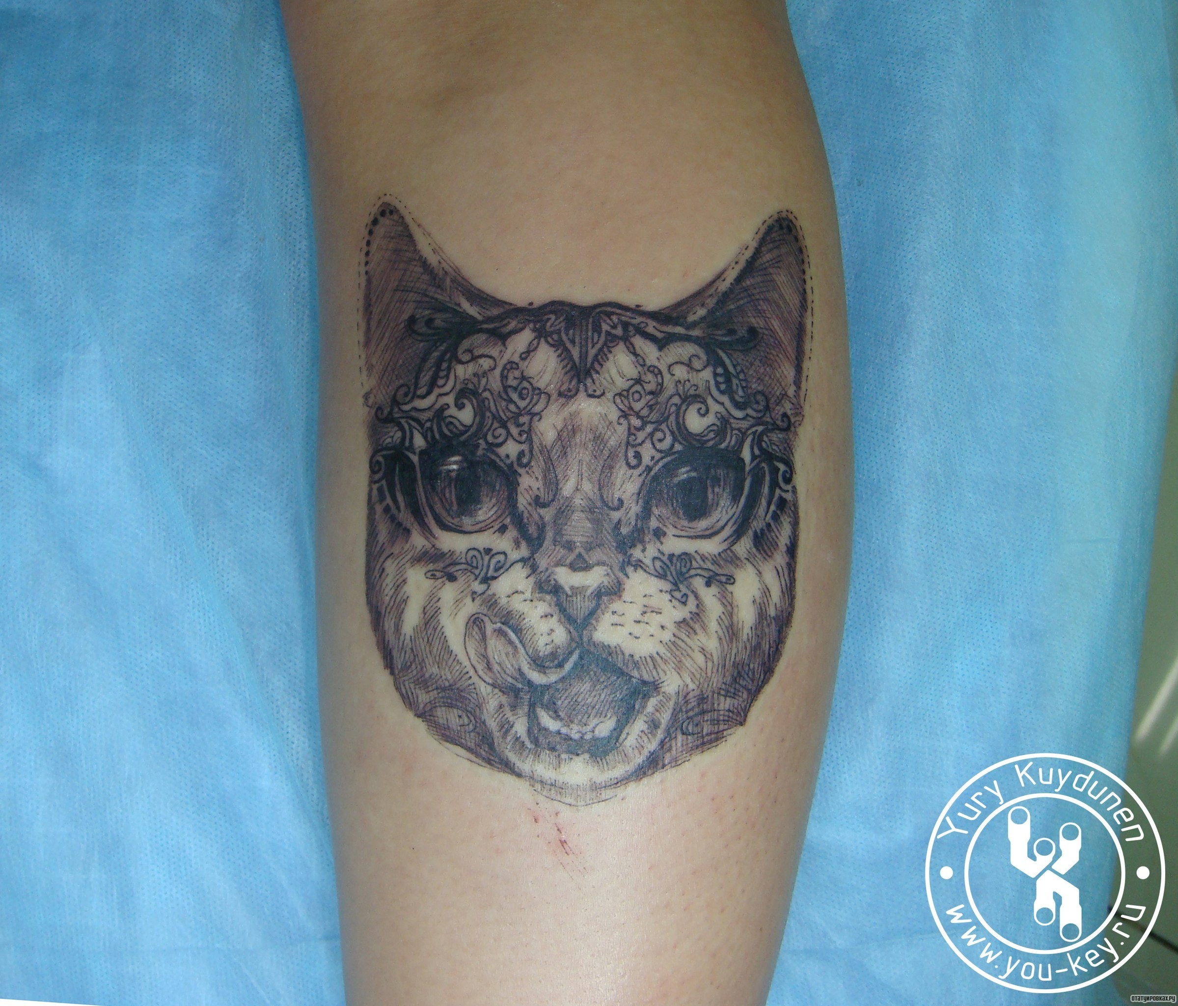 Фотография татуировки под названием «Кошка, морда»