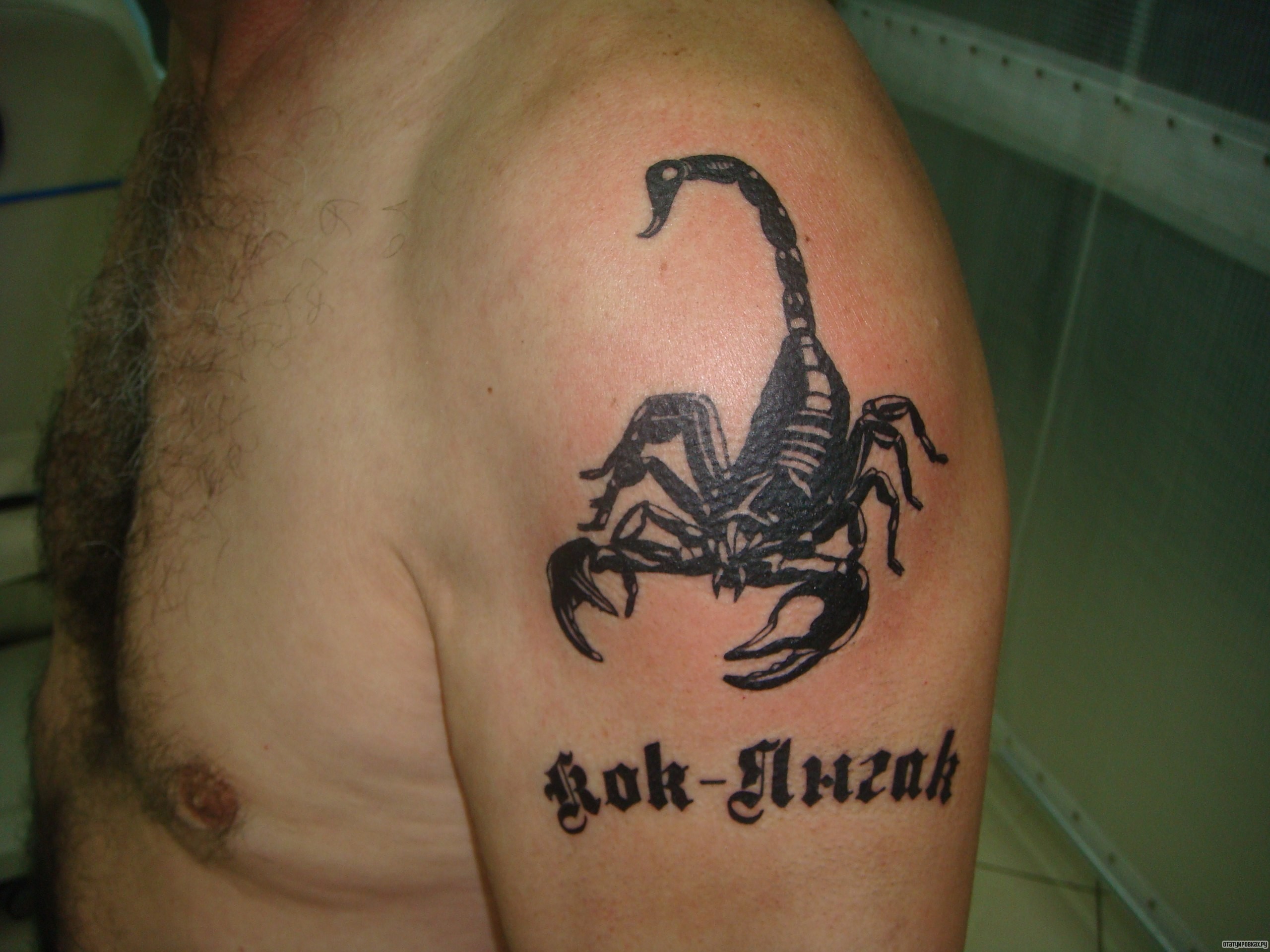 Фотография татуировки под названием «Скорпион и надпись»