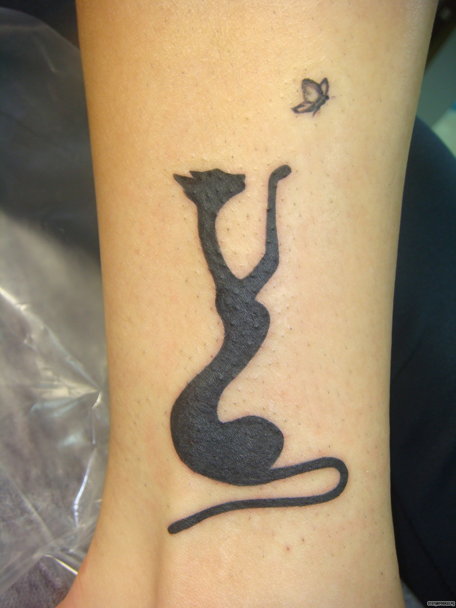 Фотография татуировки под названием «Черная кошка»