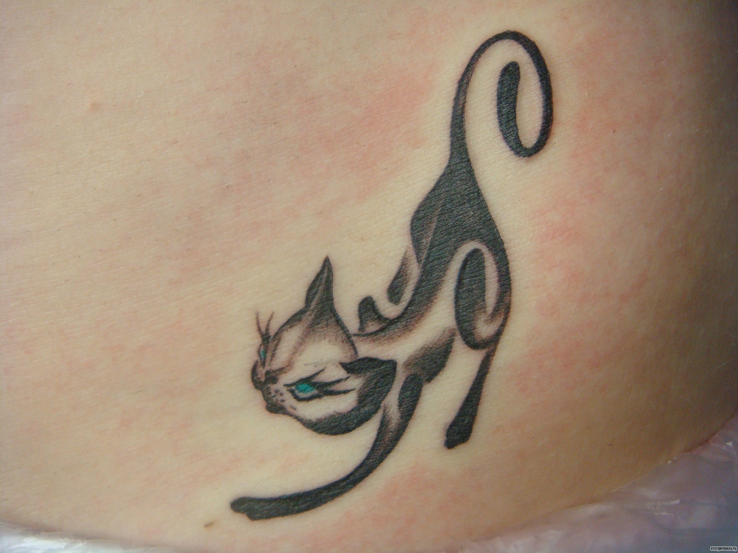 Фотография татуировки под названием «Кошка»