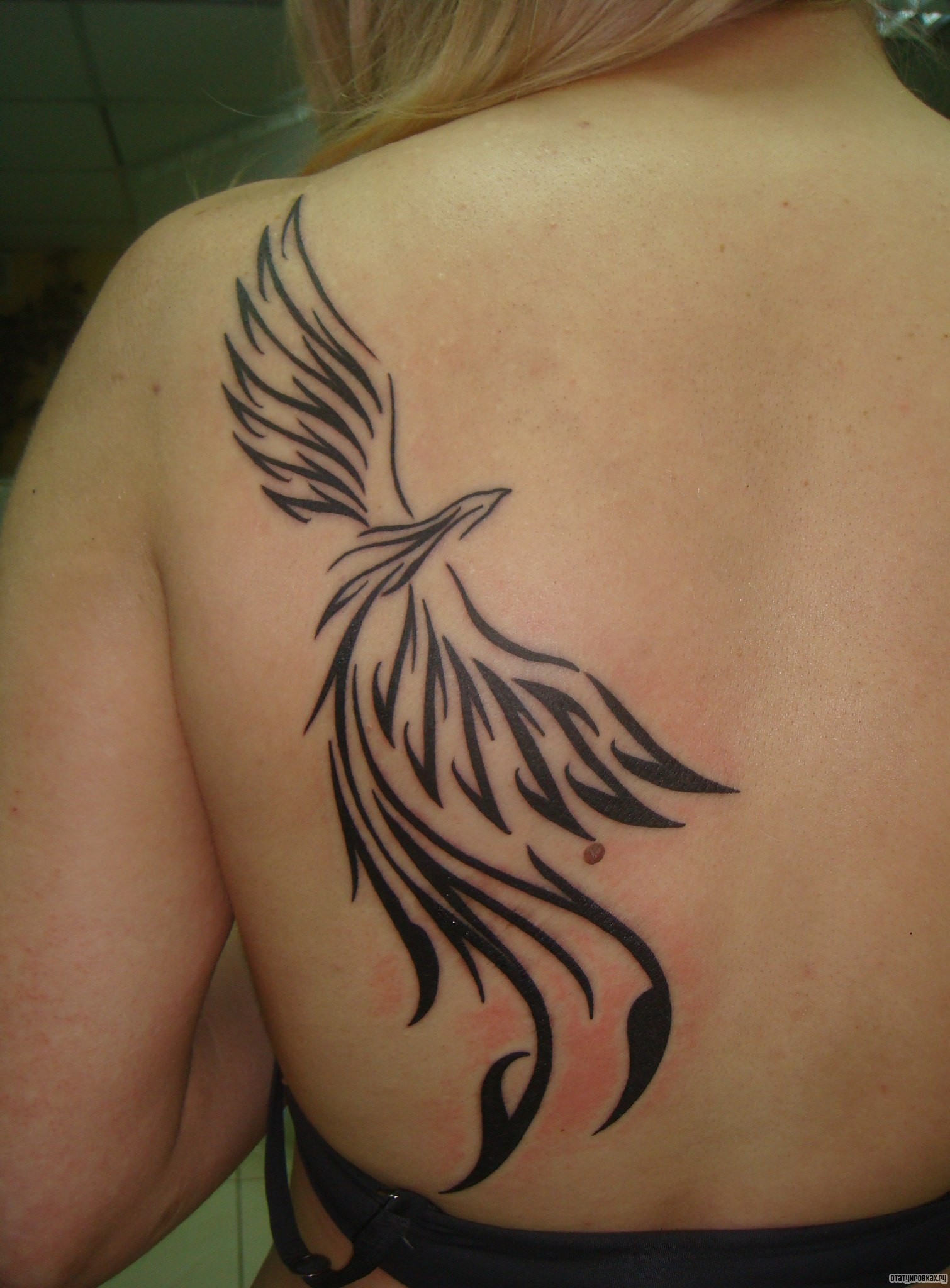 Фотография татуировки под названием «Птица узор»