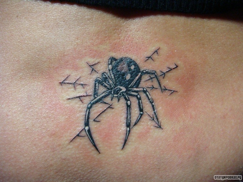 Фотография татуировки под названием «Паук и очертания паутины»