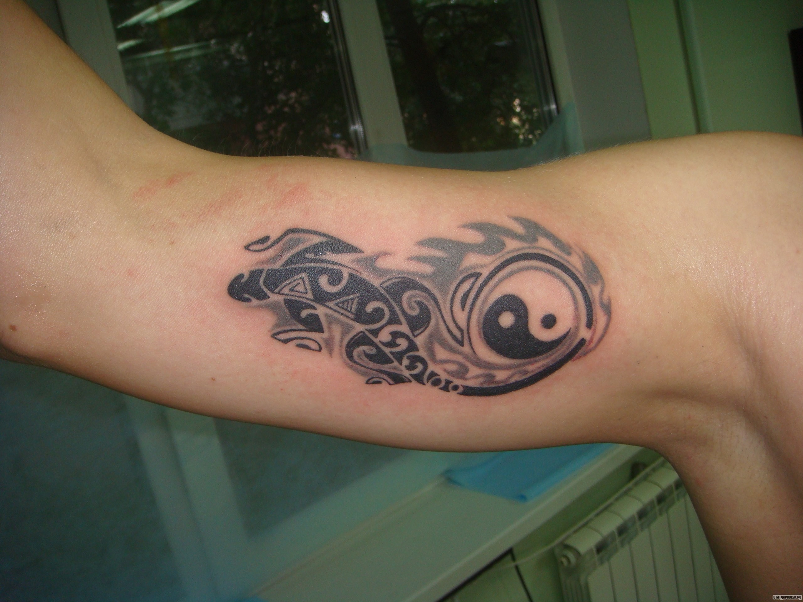 Фотография татуировки под названием «Ящерица инь янь»
