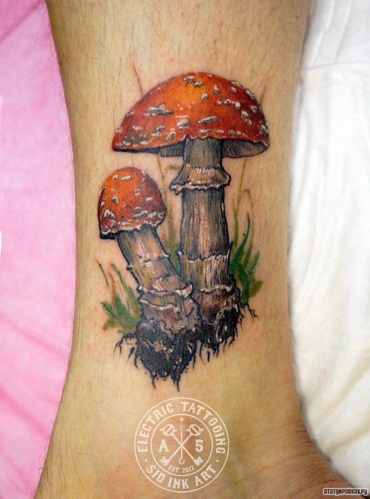 Фотография татуировки под названием «Два мухомора»