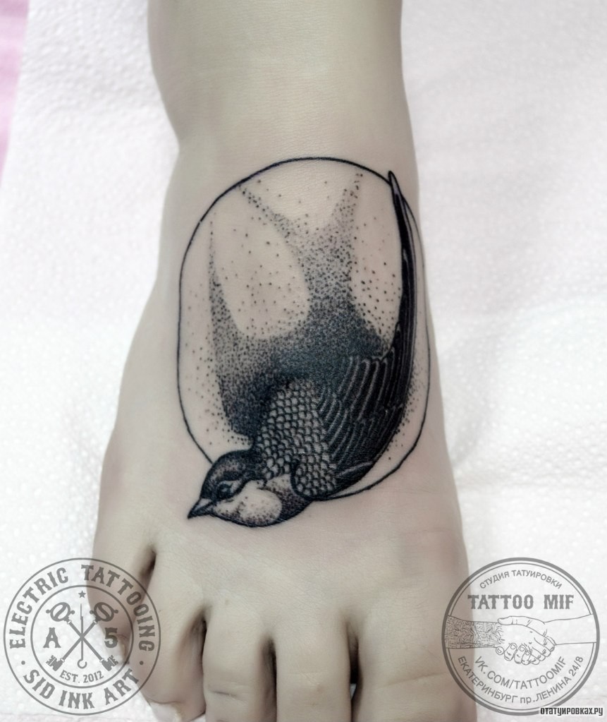Фотография татуировки под названием «Ласточка в точку»