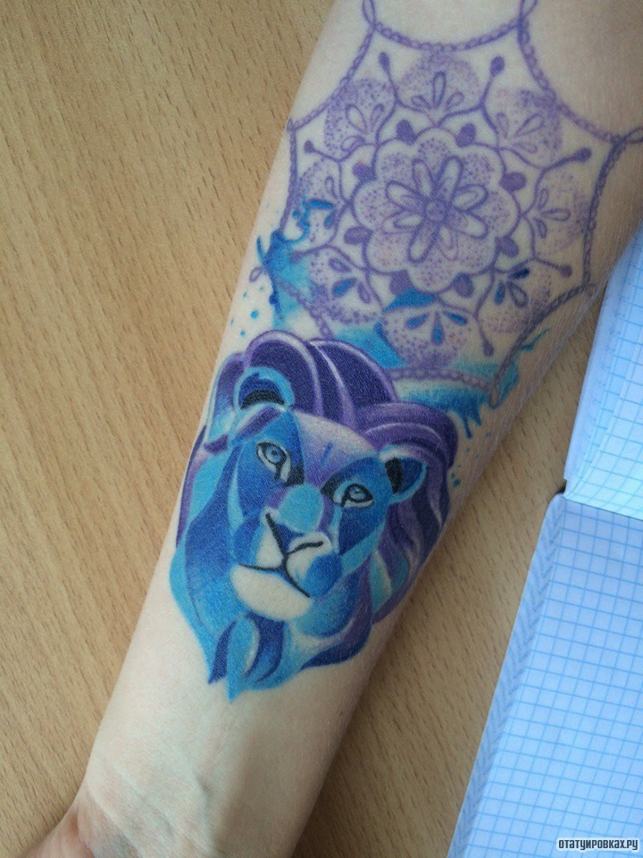 Фотография татуировки под названием «Лев синий и мандала»