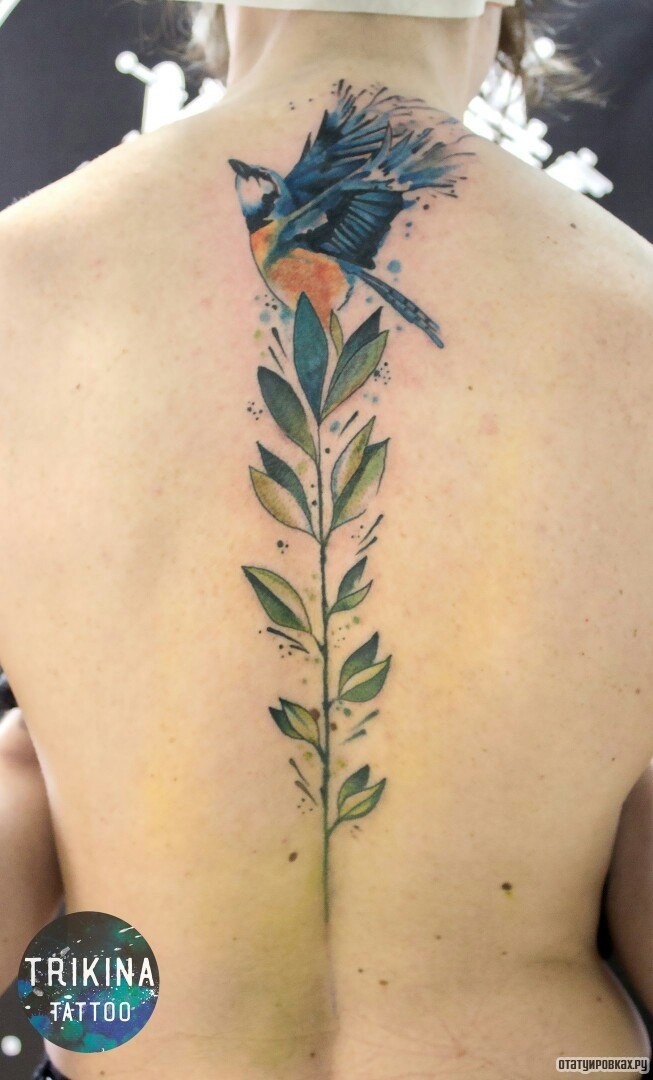 Фотография татуировки под названием «Две синицы и ветка растения»