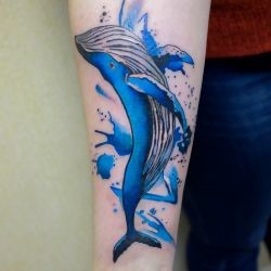 Синий кит в прыжке мастера Анастасия Трикина