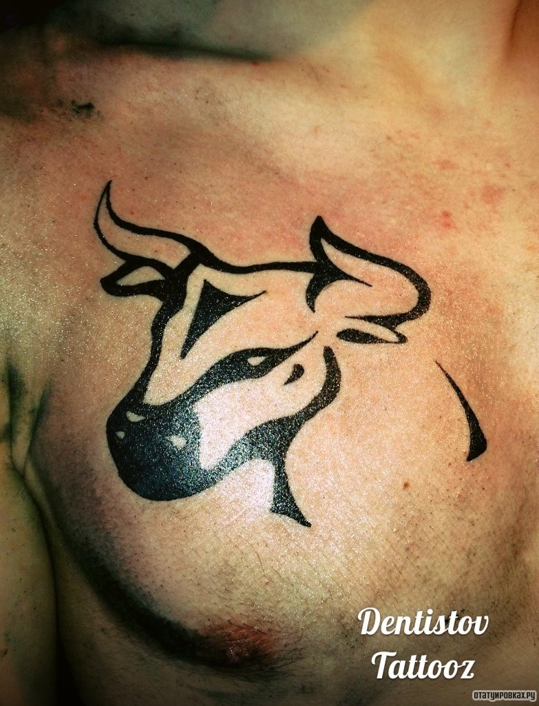 Фотография татуировки под названием «Бык узор»