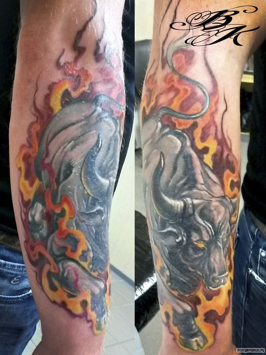 Фотография татуировки под названием «Свирепый бык в огне»